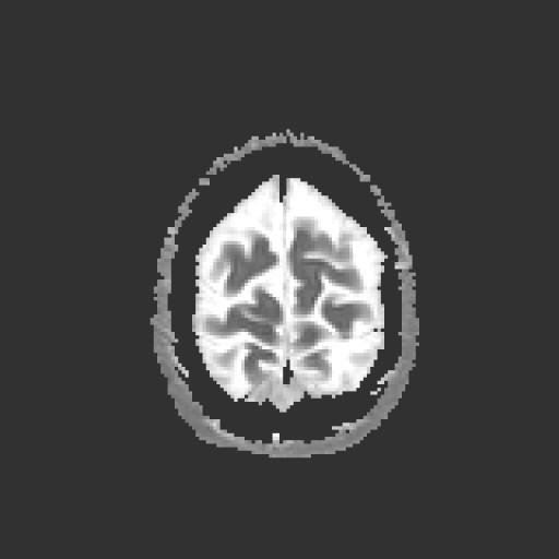 1011.jpg