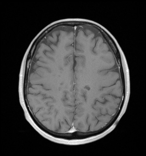 1049.jpg