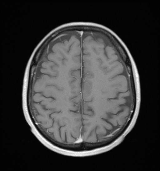 1051.jpg