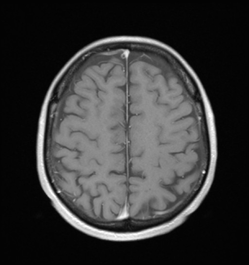1052.jpg