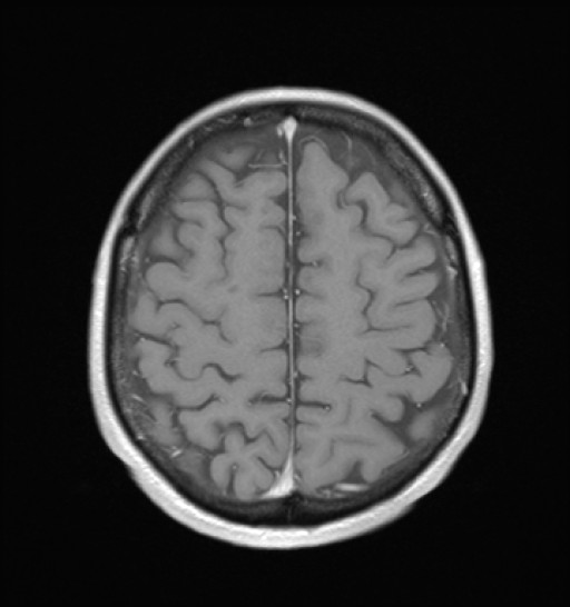1053.jpg