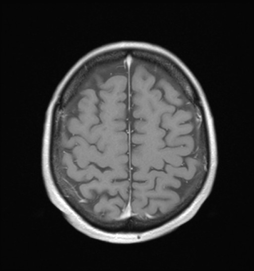 1054.jpg