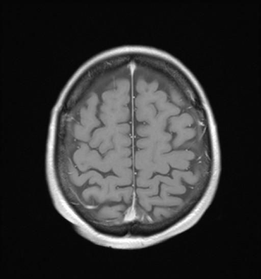 1055.jpg