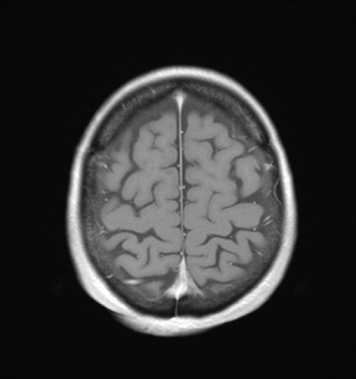 1056.jpg