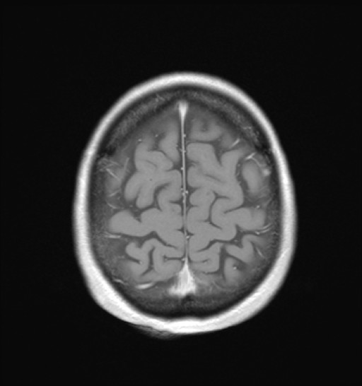 1057.jpg