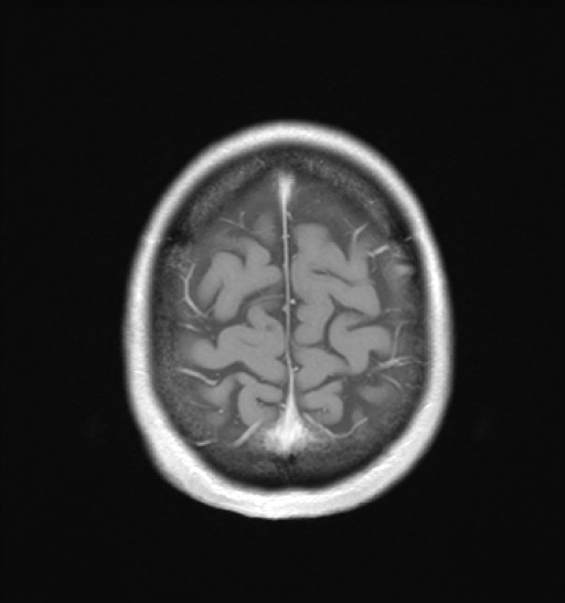 1058.jpg