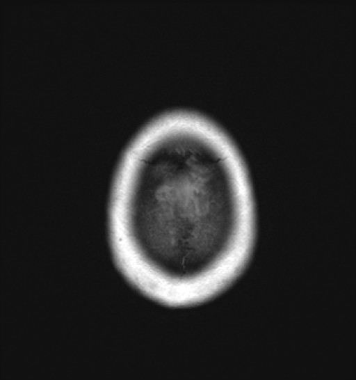 1062.jpg