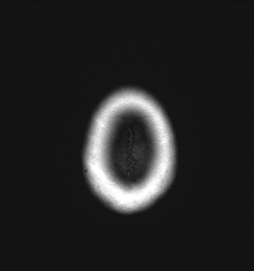 1063.jpg