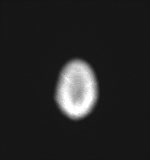 1064.jpg