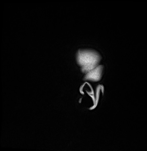 186.jpg