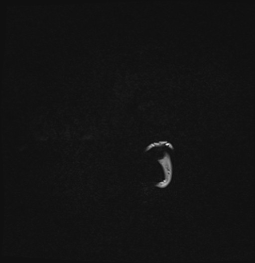 195.jpg