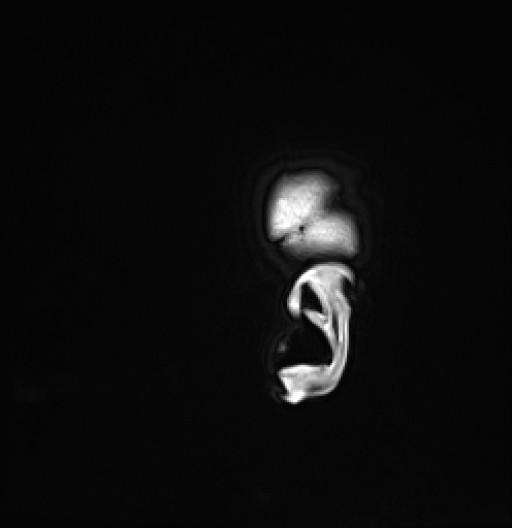 560.jpg
