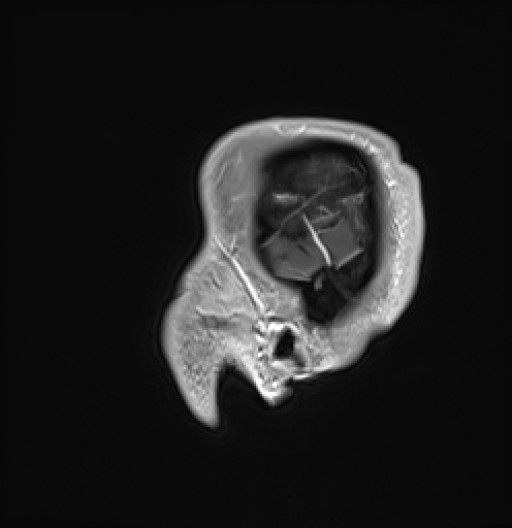 573.jpg