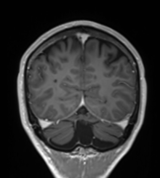 790.jpg