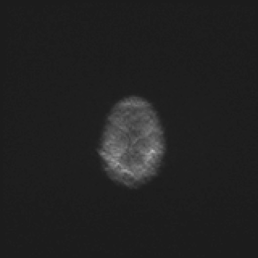 958.jpg