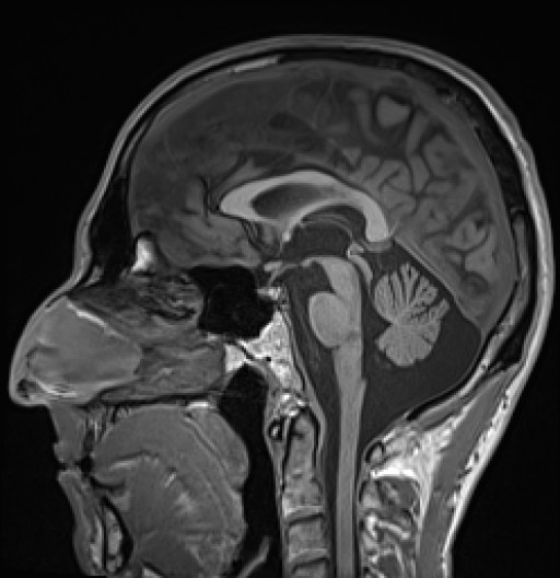 97.jpg