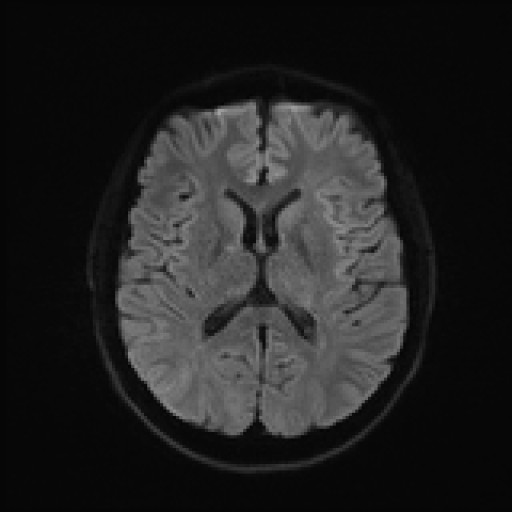 974.jpg