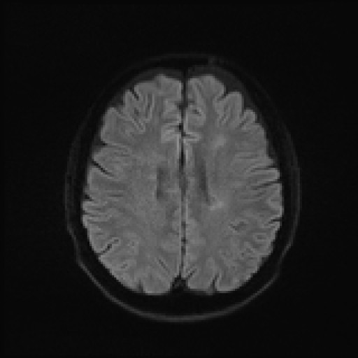 977.jpg
