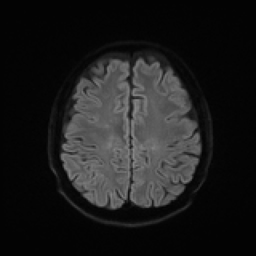 978.jpg