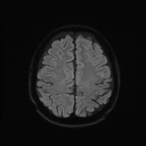 979.jpg