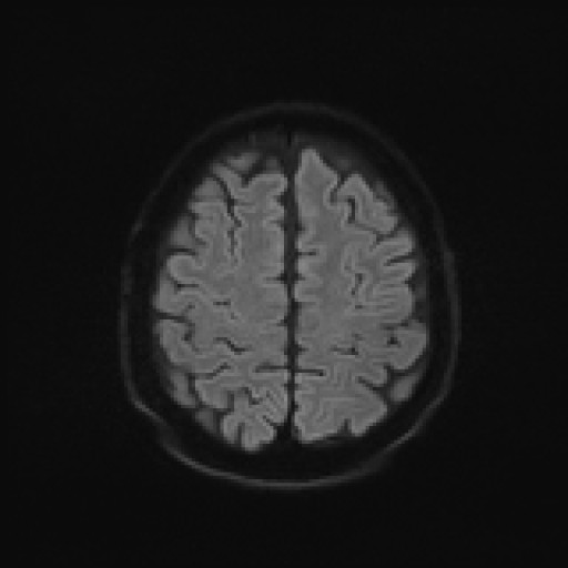980.jpg