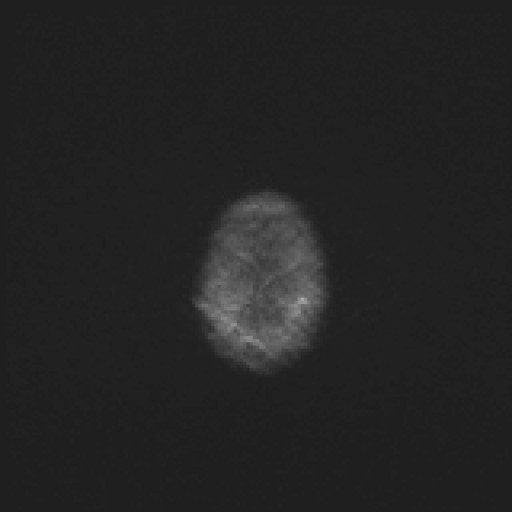 986.jpg